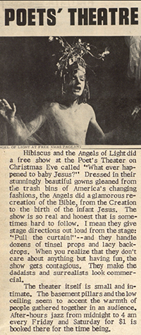 Angels of Light photo image