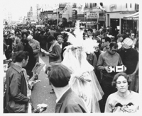 Angels of Light collage