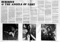 Angels of Light collage