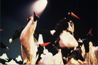 Angels of Light collage