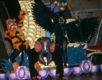 Angels of Light collage